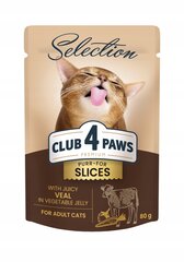 Club 4 paws Premium mitrā kaķu barība - Teļa gaļa dārzeņu želejā 12 x 80g cena un informācija | Konservi kaķiem | 220.lv