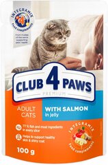 Club 4 paws Premium mitrā kaķu barība - Laši želejā 24 x 100 g cena un informācija | Konservi kaķiem | 220.lv