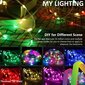 LED gaismas virtene InnoGear B0CC, 100 RGB LED, 10 m cena un informācija | LED lentes | 220.lv