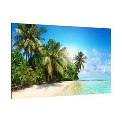 Stikla tāfele pludmales palmas, 60x40cm cena un informācija | Gleznas | 220.lv
