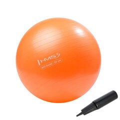 Гимнастический мяч HMS YB02N Gym Ball 55 см, оранжевый цена и информация | Гимнастические мячи | 220.lv