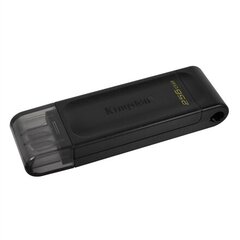 USB Zibatmiņa Kingston DT70/256GB цена и информация | USB накопители | 220.lv