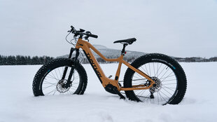 Elektriskais velosipēds Tunturi eMAX EB-F600, 45 cm, 26" smilškrāsas cena un informācija | Elektrovelosipēdi | 220.lv