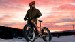 Elektriskais velosipēds Tunturi eMAX EB-F600, 40 cm, 26" smilškrāsas цена и информация | Elektrovelosipēdi | 220.lv