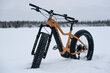 Elektriskais velosipēds Tunturi eMAX EB-F600, 40 cm, 26" smilškrāsas cena un informācija | Elektrovelosipēdi | 220.lv