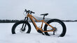 Elektriskais velosipēds Tunturi eMAX EB-F600, 40 cm, 26" smilškrāsas цена и информация | Elektrovelosipēdi | 220.lv