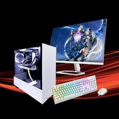 Gaming PC White цена и информация | Стационарные компьютеры | 220.lv