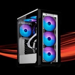 Business Workstation Pro 5 цена и информация | Стационарные компьютеры | 220.lv