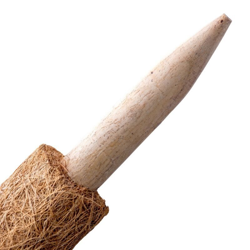 Atbalsta stabs ar kokosšķiedru, 45 cm цена и информация | Ziedu statīvi, puķu podu turētāji | 220.lv