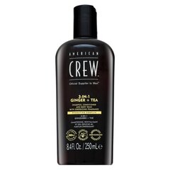 Matu šampūns ar ingveru un tēju 3in1 American Crew, 250 ml цена и информация | Шампуни | 220.lv