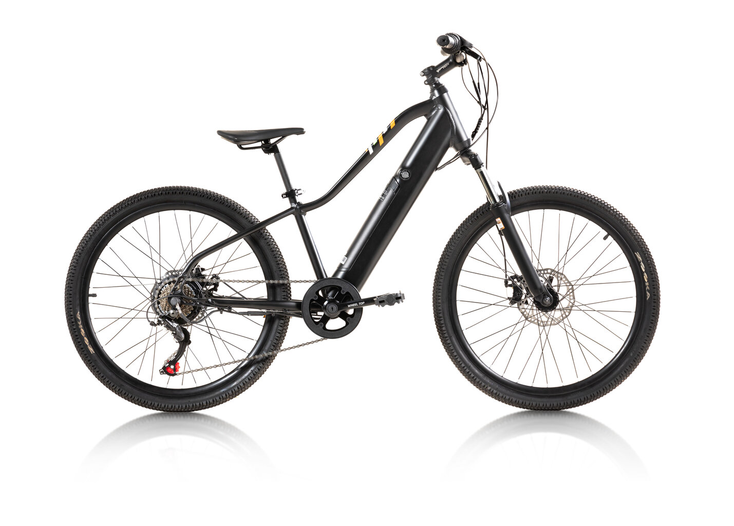 Elektriskais velosipēds Goblin Mtb Alloy 24", melns cena un informācija | Elektrovelosipēdi | 220.lv