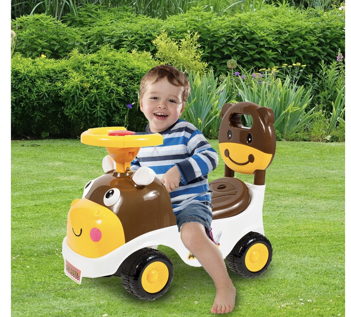 Bērnu stumjmašīna, zila cena un informācija | Rotaļlietas zīdaiņiem | 220.lv
