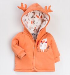 Komplekts zēniem Nini BB-31, oranžs cena un informācija | Apģērbu komplekti jaundzimušajiem | 220.lv