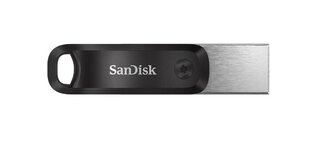 Sandisk SDIX60N-064G-GN6NN cena un informācija | USB Atmiņas kartes | 220.lv