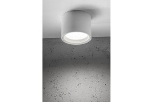 LED griestu lampa Arcco цена и информация | Потолочные светильники | 220.lv