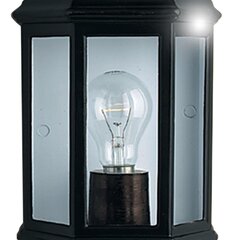 Ara, fasādes sienas lampa Searchlight Maine 280BK, melna, 1 gab. цена и информация | Уличное освещение | 220.lv