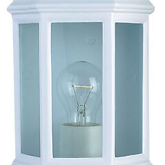 Āra, fasādes sienas lampa Searchlight Maine 280WH, balta, 1 gab. цена и информация | Уличное освещение | 220.lv