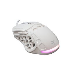Компьютерная мышь White Shark GM-5016 Ector White цена и информация | Мыши | 220.lv