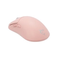 Компьютерная мышь White Shark WGM-5015 Aero Pink цена и информация | Мыши | 220.lv