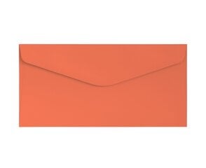 Декоративные конверты DL, 10 штук, оранжевый цвет цена и информация | Канцелярия | 220.lv