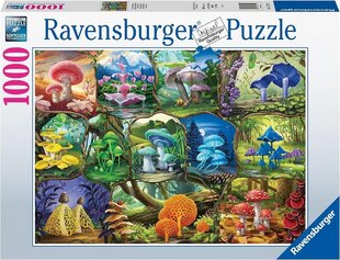 Puzle Ravensburger Beautiful Mushrooms, 1000 d. cena un informācija | Puzles, 3D puzles | 220.lv