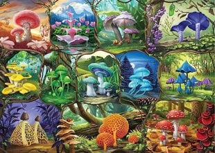 Puzle Ravensburger Beautiful Mushrooms, 1000 d. cena un informācija | Puzles, 3D puzles | 220.lv