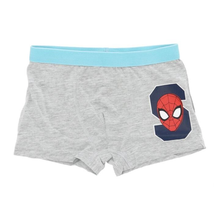 Apakšbikses zēniem Spiderman, dažādu krāsu, 4 gab. цена и информация | Zēnu apakšveļa | 220.lv
