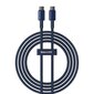 Baseus Tungsten Glod USB-C–USB-C kabelis цена и информация | Savienotājkabeļi | 220.lv