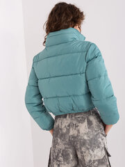 Женская синяя куртка больших размеров цена и информация | Женские куртки | 220.lv