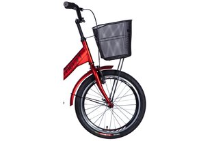 Pilsētas velosipēds sievietēm un vīriešiem Smartrike Smart, 24", sarkans цена и информация | Велосипеды | 220.lv