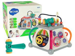 Многофункциональный кубик для малыша. цена и информация | Игрушки для малышей | 220.lv