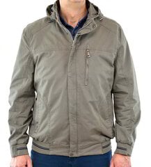 Куртка мужская Sarow 340, серая цена и информация | Мужские куртки | 220.lv