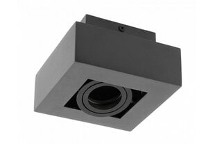 Светильник потолочный Aster, GU10, IP20, одинарный, чёрный цена и информация | Потолочные светильники | 220.lv