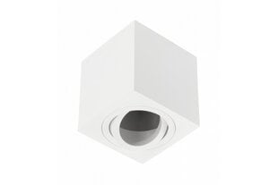 Потолочный светильник Aveiro Bis, IP20, квадратный, белый цена и информация | Потолочные светильники | 220.lv