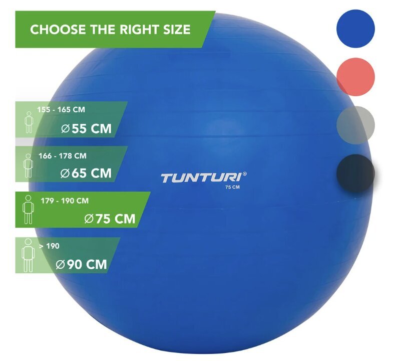 Vingrošanas bumba ar pumpi Tunturi, 75cm, zila цена и информация | Vingrošanas bumbas | 220.lv