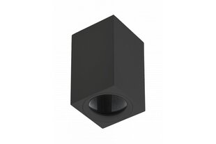 Потолочный светильник Tipo,IP20, квадратный, черный цена и информация | Потолочные светильники | 220.lv