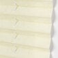 Plisētas rullo žalūzijas Bojanek Easyfix Pro aprikožu krāsā, 39x160 cm cena un informācija | Rullo žalūzijas | 220.lv