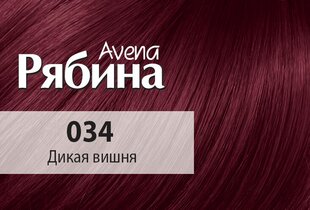 Krēmveida matu krāsa Acme Color Rebina Avena Nr.034 savvaļas ķirsis cena un informācija | Matu krāsas | 220.lv
