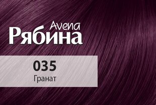 Krēmveida matu krāsa Acme Color Rebina Avena Nr.035 granātābols цена и информация | Краска для волос | 220.lv