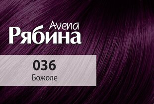 Krēmveida matu krāsa Acme Color Rebina Avena Nr.036 božolē cena un informācija | Acme Smaržas, kosmētika | 220.lv