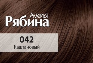 Krēmveida matu krāsa Acme Color Rebina Avena Nr.042 kastaņbrūna cena un informācija | Matu krāsas | 220.lv
