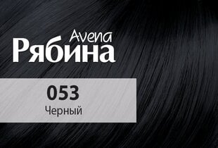 Krēmveida matu krāsa Acme Color Rebina Avena Nr.053 melna cena un informācija | Matu krāsas | 220.lv