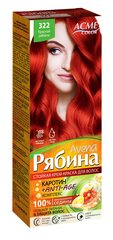 Krēmveida matu krāsa Acme Color Rebina Avena Nr.322 sarkanais pīlādzis цена и информация | Краска для волос | 220.lv