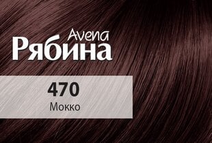 Krēmveida matu krāsa Acme Color Rebina Avena Nr.470 mokka cena un informācija | Matu krāsas | 220.lv