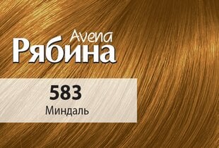 Krēmveida matu krāsa Acme Color Rebina Avena Nr.583 mandeles цена и информация | Краска для волос | 220.lv