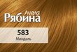 Krēmveida matu krāsa Acme Color Rebina Avena Nr.583 mandeles cena un informācija | Matu krāsas | 220.lv