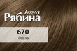 Krēmveida matu krāsa Acme Color Rebina Avena Nr.670 alksnis cena un informācija | Matu krāsas | 220.lv