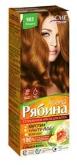 Krēmveida matu krāsa Acme Color Rebina Avena Nr.670 alksnis цена и информация | Краска для волос | 220.lv