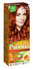 Krēmveida matu krāsa Acme Color Rebina Avena Nr.734 ticiāns цена и информация | Краска для волос | 220.lv