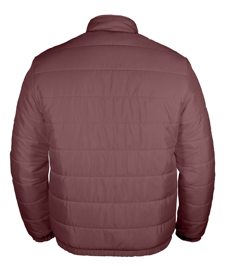 Stepētas vīriešu jakas no Pantoneclo - NYLN-015 (oxblood red) cena un informācija | Vīriešu virsjakas | 220.lv